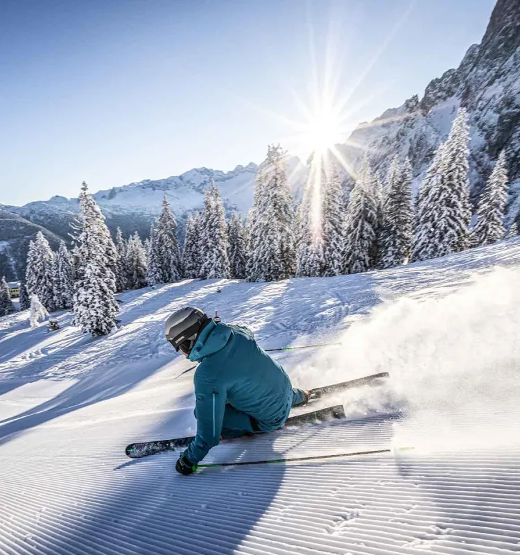 Snow Adventure