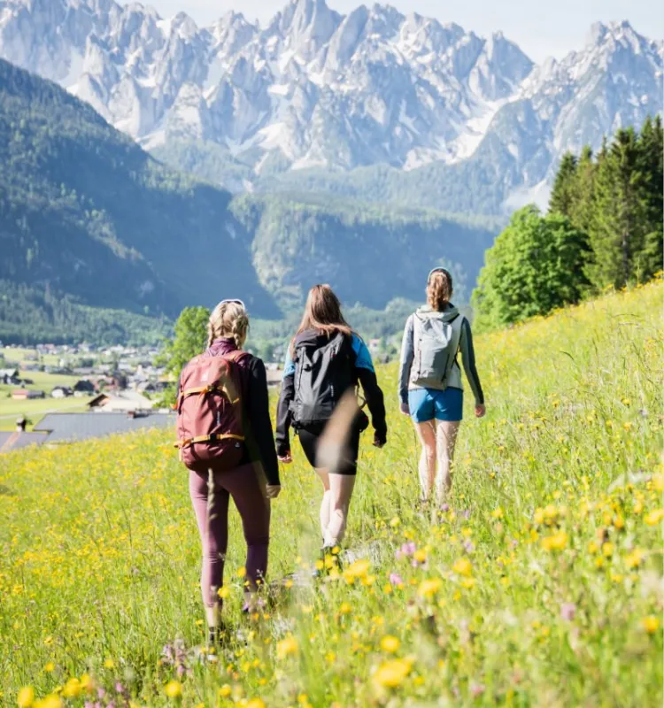 Three hikers with backpacks walking through a blooming alpine meadow in the Salzkammergut, with snow-capped mountain peaks in the background.