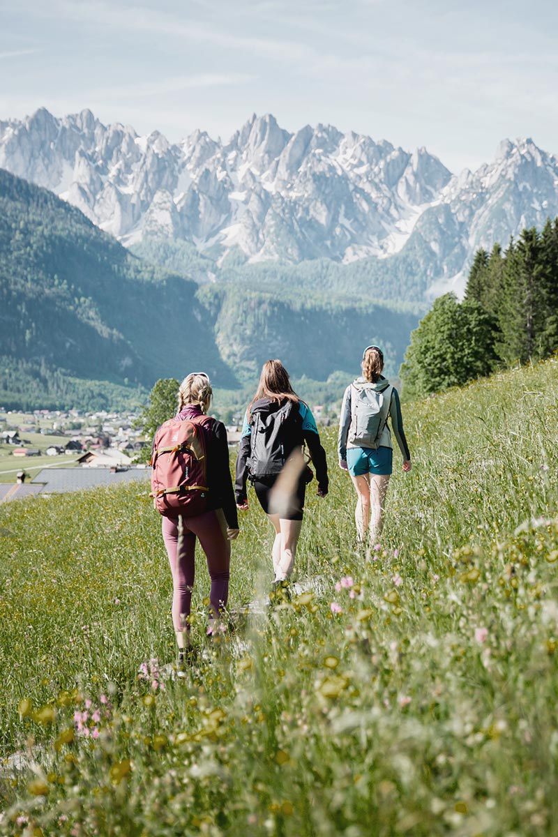Wandern & Laufen